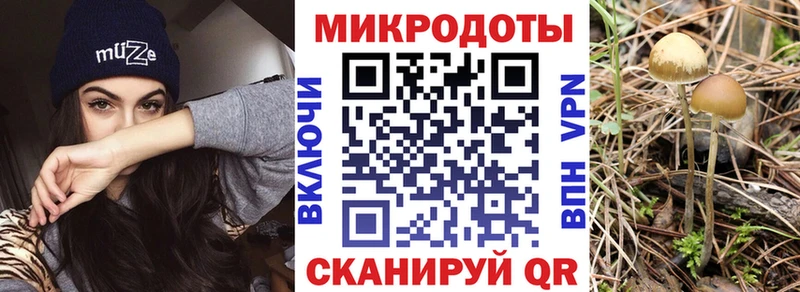 магазин продажи наркотиков  Байкальск  Псилоцибиновые грибы Magic Shrooms 